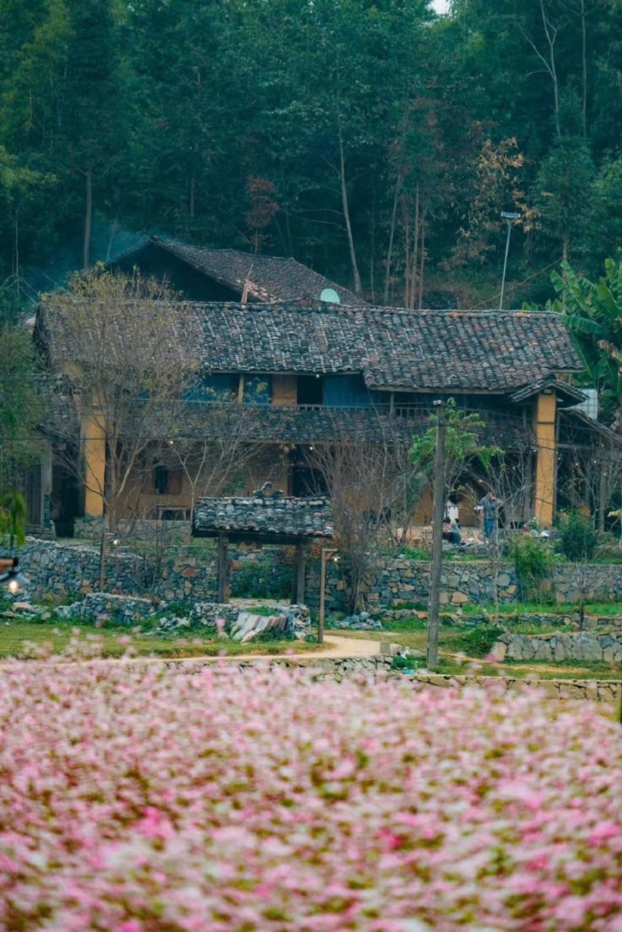 Voi Meo Vac Hostel & Breakfast Exterior foto